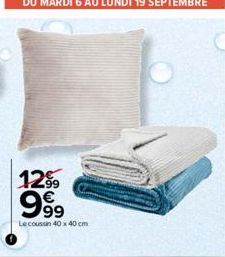 12⁹9 999  €  Le coussin 40 x 40 cm 