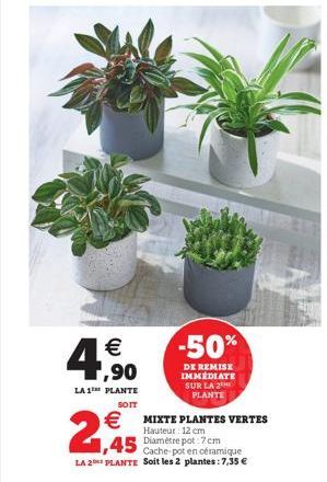 €  ,90  LA 1™ PLANTE  SOIT  2€  -50%  DE REMISE IMMÉDIATE SUR LA 2 PLANTE  € MIXTE PLANTES VERTES  Hauteur: 12 cm  1,45 Diamètre pot:7cm  Cache-pot en céramique LA 2 PLANTE Soit les 2 plantes: 7,35 € 