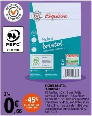 pefc  01-31-1018  1,20  1104  defc  -45%  de reduction immediate  esquisse  fiches  bristol  50 feuilles perforées  € 300 303 430  360102995967  fiches bristol "esquisse"  50 feuilles, 10 x 15 cm. pet