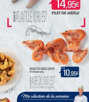 ATLANTIQUE NORD EST L  CREVETTES ROSES CUITES 40 à 60 pièces au kg  ASIE DU SUD EST  QUAESTELEDELE  LE KG  10,95€  J 