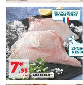 € ,95  LO AILE DE RAIE  EN PROVENANCE DE NOS CRIÉES 