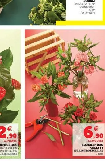 €  6,9⁹0  le bouquet  bouquet duo ceillets  et alstroemerias  9 tiges 
