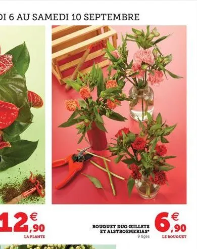 12,50  la plante  bouquet duo ceillets et alstroemerias 9 tiges  (11)  €  ,90  le bouquet 