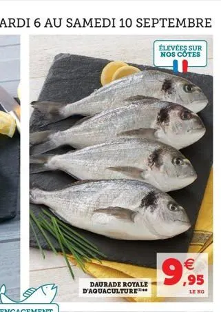 daurade royale d'aquaculture****  €  19,95  le ko 