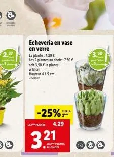 2.37  echeveria en vase  en verre  la plante: 4,29 €  les 2 plantes au choix: 7,50 €  soit 3,50 € la plante a 13 cm  hauteur 4 à 5 cm 42507  -25% la plante 4.29  321  la plante auchodk  sur la  3.50 