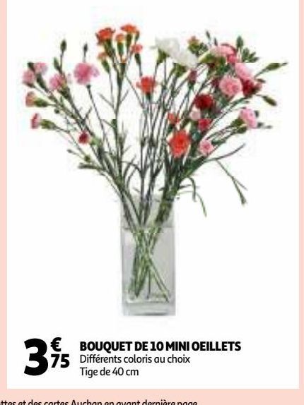 BOUQUET DE 10 MINI OEILLETS 