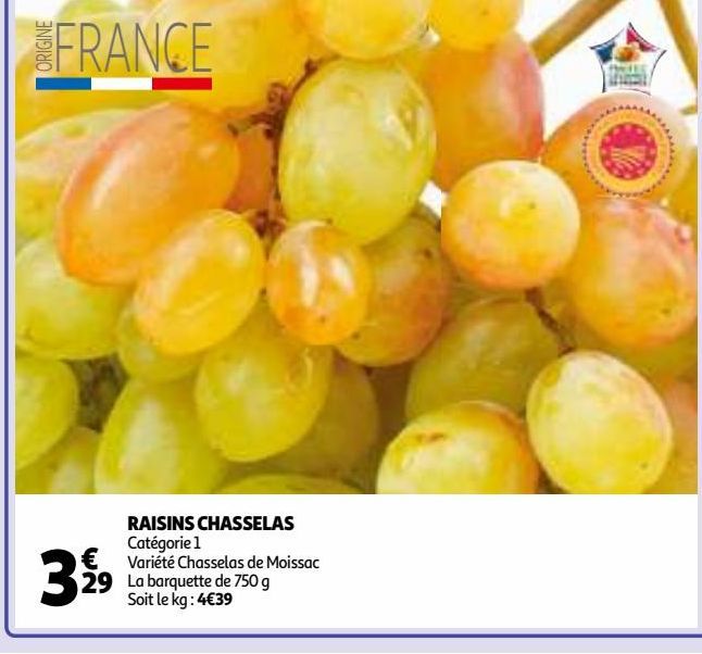 RAISINS CHASSELAS 