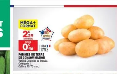 pommes de terre 