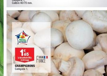 champignons 