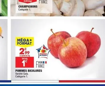 méga+ format  champignons catégorie 1.  299  le sachet de g  s  €  1⁰  pommes bicolores variété gala. catégorie 1.  pommes de france  γιρωνει france 