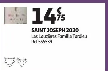 saint joseph 2020