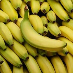 BANANE BIO