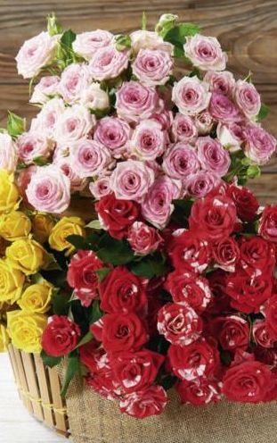 BOUQUET DE 7 ROSES RAMIFIEES