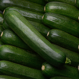 COURGETTE U BIO