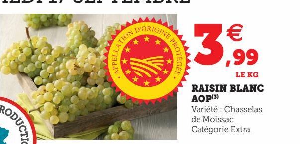 RAISIN BLANC AOP