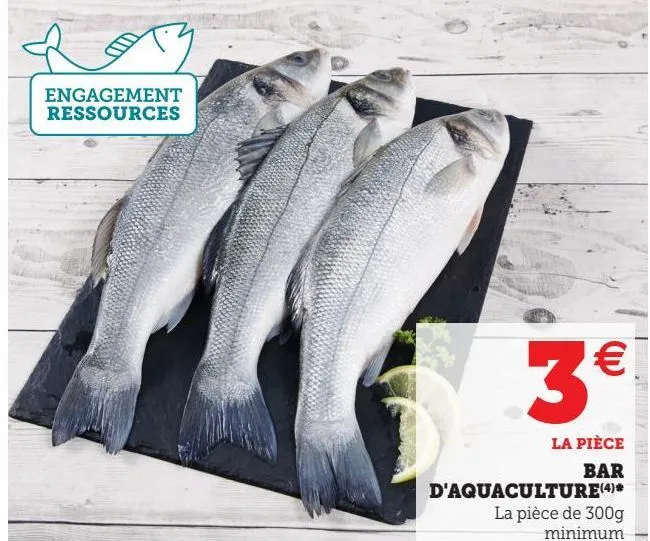 bar d'aquaculture