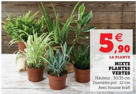 mixte plantes vertes