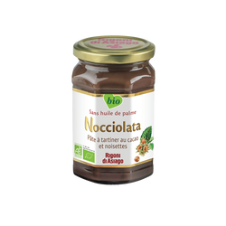 PATE A TARTINER BIO NOCCIOLATA RICONI DI ASIAGO