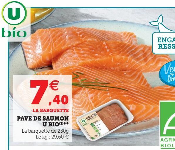 PAVE DE SAUMON U BIO(3)**