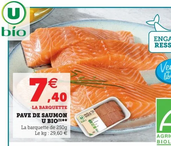 pave de saumon u bio(3)**