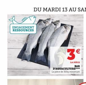 ENGAGEMENT RESSOURCES  3 €  LA PIÈCE BAR  D'AQUACULTURE**** La pièce de 300g minimum  