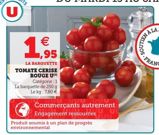 TOMATE ERISE ROUGE U(7)