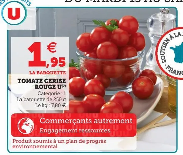 tomate erise rouge u(7)