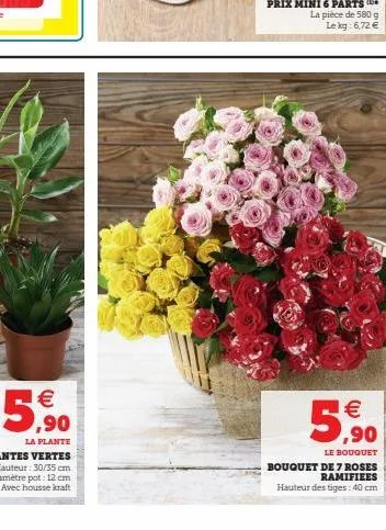 €  5,900  5,90  le bouquet  bouquet de 7 roses ramifiees  hauteur des tiges: 40 cm 