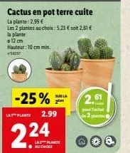 la plante  o 12 cm  cactus en pot terre cuite  la plante: 2,99 €  les 2 plantes au choix: 5,23 € soit 2,61 €  hauteur: 10 cm min.  54257  -25%  sub la  2.99  2,61  pracht 2 plant  na 