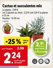 Cactus et succulentes mix La plante: 2,99 €  Les 2 plantes au choix: 5,23 € soit 2.61 € la plante a 12 cm Hauteur: 13-20 cm  2703  -25% SUR LA  2iME  LAY PLANTE  2.24  2.99  LA PLANTE ●AU CHOLE  2,61 