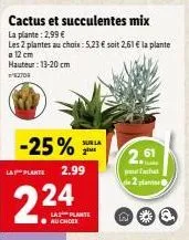cactus et succulentes mix la plante: 2,99 €  les 2 plantes au choix: 5,23 € soit 2.61 € la plante a 12 cm hauteur: 13-20 cm  2703  -25% sur la  2ime  lay plante  2.24  2.99  la plante ●au chole  2,61 