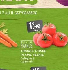 1,90  LENG  ORIGINE  FRANCE  TOMATE RONDE  PLEINE TERRE Catégorie 2 Calibre 47. 