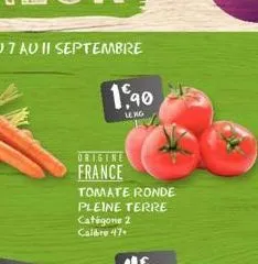 1,90  leng  origine  france  tomate ronde  pleine terre catégorie 2 calibre 47. 