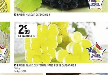 ARAISIN MUSCAT CATÉGORIE 1  LA BARQUETTE  RAISIN BLANC CENTENIAL SANS PÉPIN CATÉGORIE 1 500 g Le kg: 5C98  RAISINS DE FRANCE  RAISINS DE FRANCE 