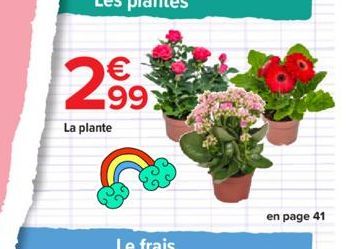 2.99  La plante  en page 41 