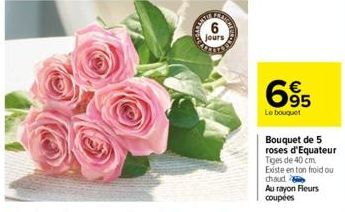 6 jours  95  Le bouquet  Bouquet de 5  roses d'Equateur  Tiges de 40 cm. Existe en ton froid ou chaud  Au rayon Fleurs coupées 