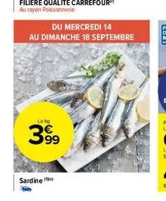 du mercredi 14 au dimanche 18 septembre  lekg  399  sardine 