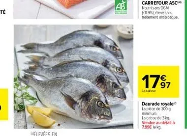 a  17⁹7  97  la caisse  daurade royale la pièce de 300 g minimum. la caisse de 3 kg vendue au détail à 7,99€ le kg. 