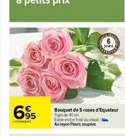 695  le bouquet  63  6  jours 