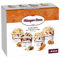 MINI POTS DE CREME GLACEE HAAGEN DAZS