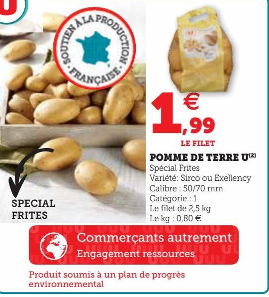 POMME DE TERRE U