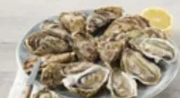 huîtres fines  de bretagne  "prat ar coum"(