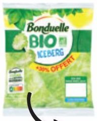 ICEBERG BIO BONDUELLE 