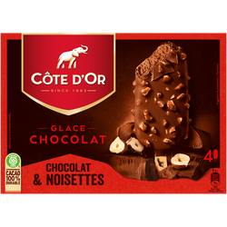 BATONNETS CREME  GLACEE COTE D'OR