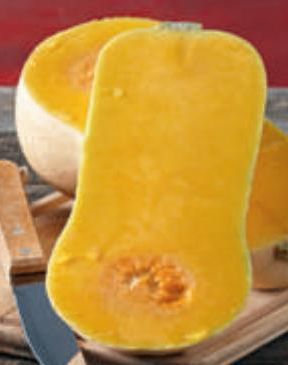 COURGE BUTTERNUT 