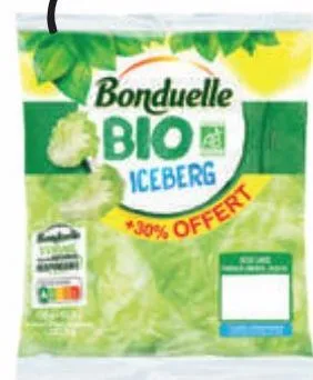 iceberg bio  bonduelle