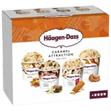 mini pots de creme glacee häagen dazs 