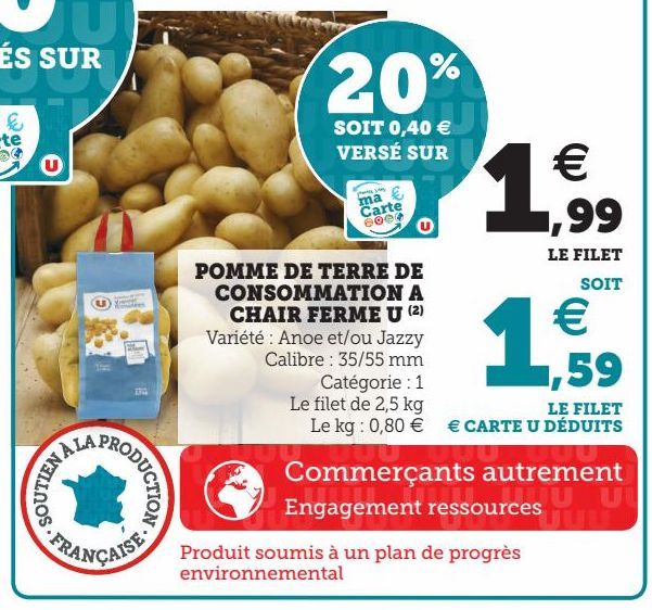 POMME DE TERRE DE CONSOMMATION A CHAIR FERME U (2) 