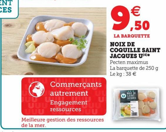 NOIX DE COQUILLE SAINT JACQUES U