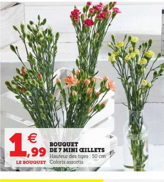 BOUQUET DE 7 MINI CEILLETS